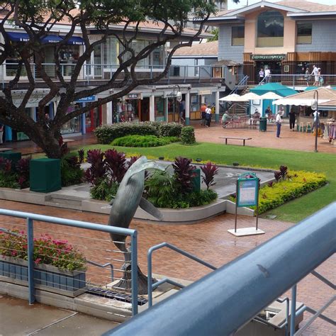 lahaina whalers maui.